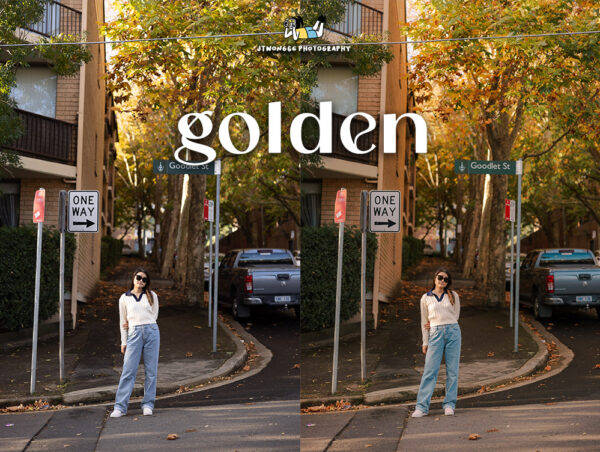 golden - lightroom mobile preset - Image 2
