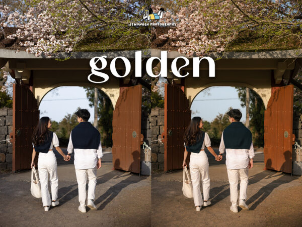 golden hour edit lightroom mobile preset